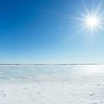 _DSC8919
